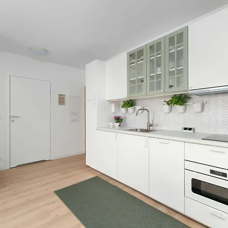 Bright In With Balcony And Parking By Renters *
